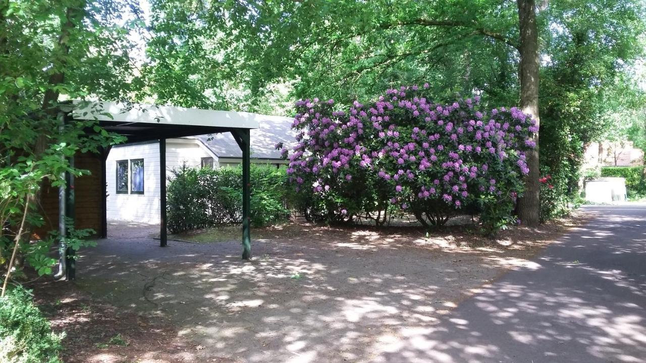 Vechtdalhuisje 16 Ommen Exteriér fotografie